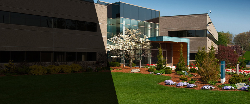 Alamogordo Landscapers