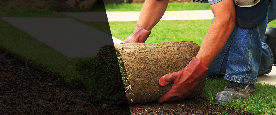 Alamogordo Landscapers